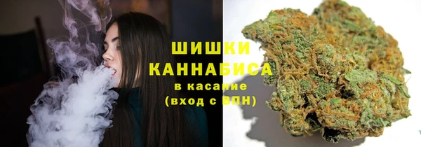 ПСИЛОЦИБИНОВЫЕ ГРИБЫ Горно-Алтайск