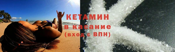 прущие грибы Гусь-Хрустальный