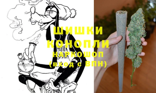 ПСИЛОЦИБИНОВЫЕ ГРИБЫ Горно-Алтайск