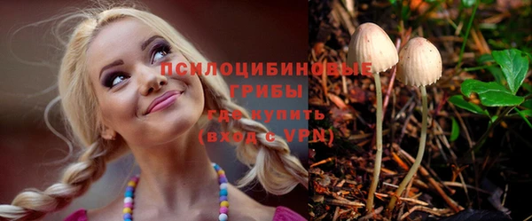 ПСИЛОЦИБИНОВЫЕ ГРИБЫ Горно-Алтайск
