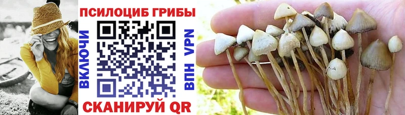 Псилоцибиновые грибы GOLDEN TEACHER  Заречный 